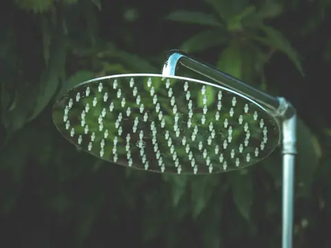 A round chrome rain shower head among green leaves