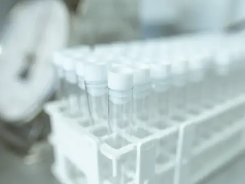 Rows of clear test tubes in a laboratory rack